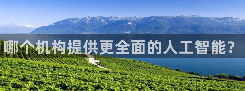哪个机构提供更全面的人工智能？