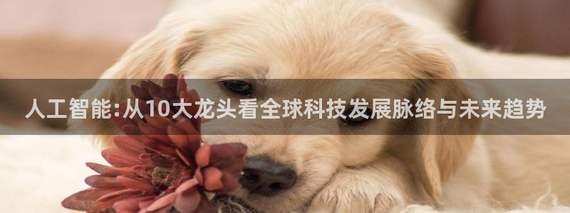 人工智能:从10大龙头看全球科技发展脉络与未来趋势