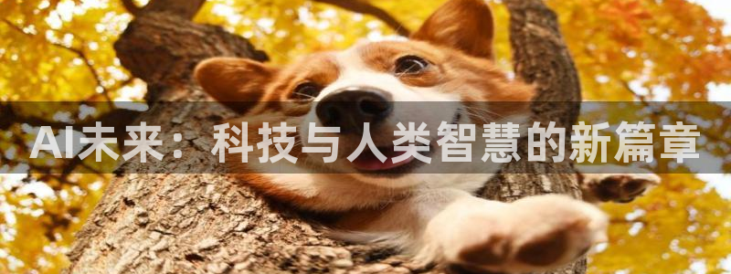 AI未来：科技与人类智慧的新篇章