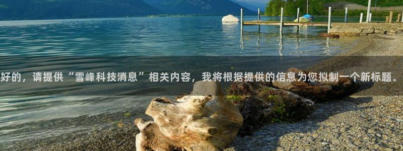 好的，请提供“雪峰科技消息”相关内容，我将根据提供的信息为您拟制一个新标题。