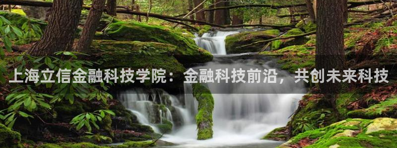 上海立信金融科技学院：金融科技前沿，共创未来科技