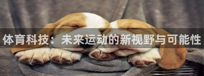 体育科技：未来运动的新视野与可能性