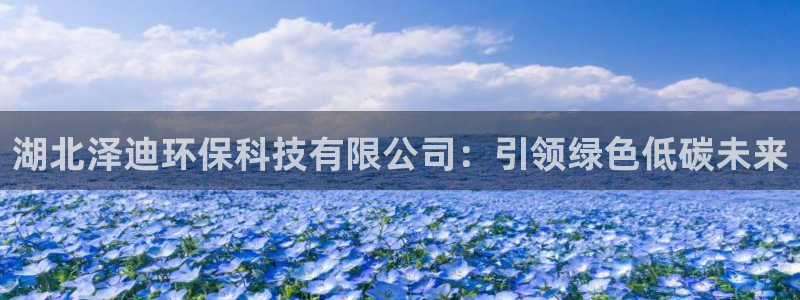 湖北泽迪环保科技有限公司：引领绿色低碳未来