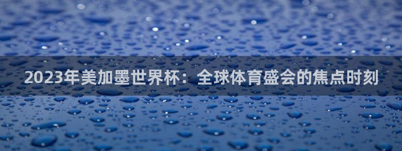 2023年美加墨世界杯：全球体育盛会的焦点时刻
