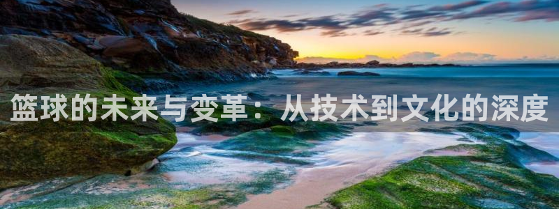 篮球的未来与变革：从技术到文化的深度