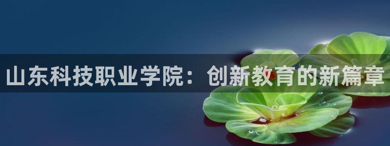 山东科技职业学院：创新教育的新篇章