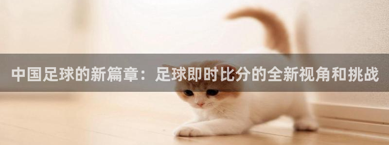 中国足球的新篇章：足球即时比分的全新视角和挑战