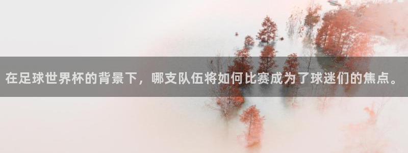 在足球世界杯的背景下，哪支队伍将如何比赛成为了球迷们的焦点。