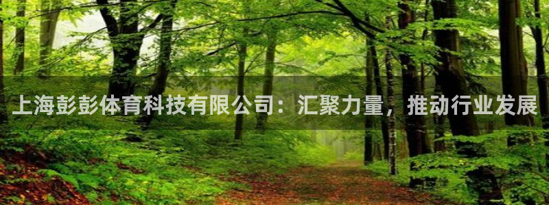 上海彭彭体育科技有限公司：汇聚力量，推动行业发展