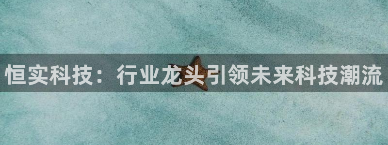 恒实科技：行业龙头引领未来科技潮流