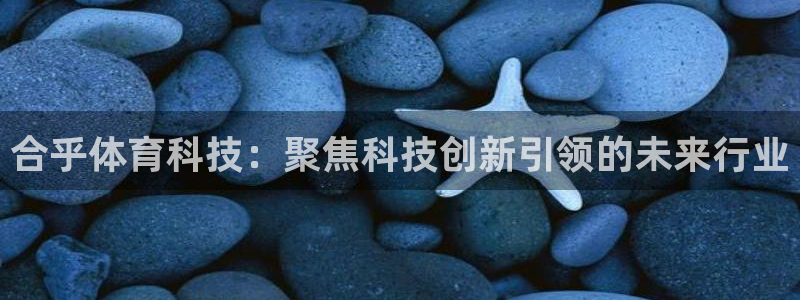 合乎体育科技：聚焦科技创新引领的未来行业