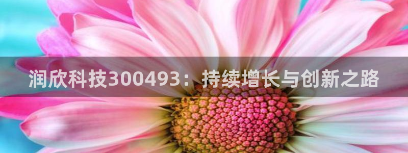 润欣科技300493：持续增长与创新之路