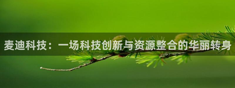 麦迪科技：一场科技创新与资源整合的华丽转身