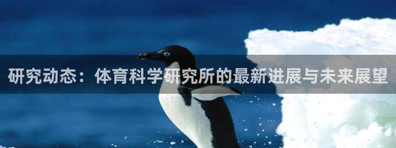 研究动态：体育科学研究所的最新进展与未来展望