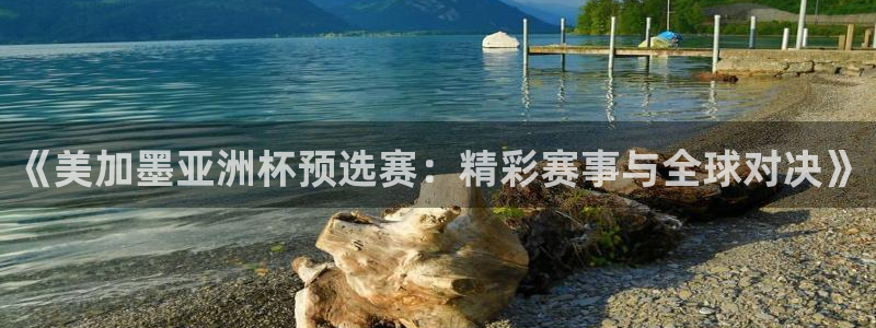 《美加墨亚洲杯预选赛：精彩赛事与全球对决》