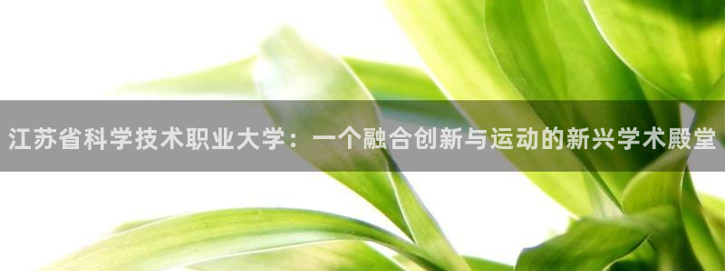 江苏省科学技术职业大学：一个融合创新与运动的新兴学术殿堂