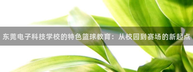 东莞电子科技学校的特色篮球教育：从校园到赛场的新起点